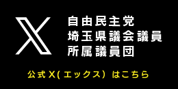 Xエックス